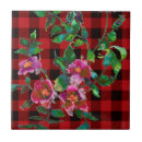 Pesquisar por xadrez vermelha azulejos Escocês