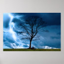 Pesquisar por circuit pósteres pôsteres Qualquer pessoa