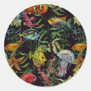 Pesquisar por vida aquática adesivos Concha