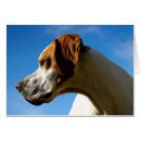 Pesquisar por céu alaranjado cartoes postais Azul