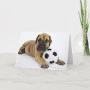 Pesquisar por great dane cartoes Animal