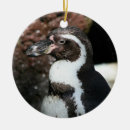 Pesquisar por pinguim ornamentos Pássaro