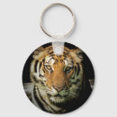 Pesquisar por tigres chaveiros Animal