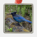 Pesquisar por jay ornamentos Vida selvagem