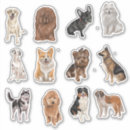 Pesquisar por amantes do mac eletronicos Animais