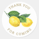 Pesquisar por fruta redonda adesivos For her