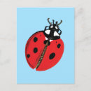 Pesquisar por lady bug cartoes postais Joaninha