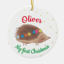 Pesquisar por hedgehog ornamentos Natal