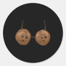 Pesquisar por sutiã adesivos Coco