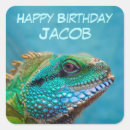 Pesquisar por eu sou a iguana adesivos Lagarto