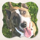 Pesquisar por bull terrier porta copos Cães