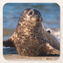 Pesquisar por franquia porta copos Ie