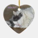 Pesquisar por sono ornamentos Gato