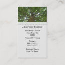 Pesquisar por árvores coloridas cartao de visita Outono