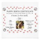 Pesquisar por pata pósteres pôsteres For pets