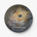 Pesquisar por hamster Sírio