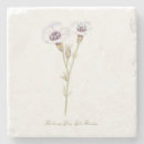 Pesquisar por tricolor porta copos Qualquer pessoa