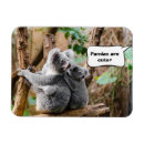 Pesquisar por ursos de panda imas Fofofo