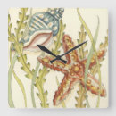 Pesquisar por marinho relogios de parede Concha