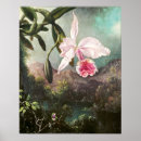 Pesquisar por orquídeas exóticas pósteres pôsteres Floral