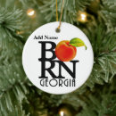 Pesquisar por geórgia ornamentos Natal