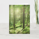 Pesquisar por moss cartoes Forest