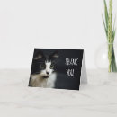 Pesquisar por gato com patas brancas cartoes Obrigado