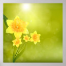Pesquisar por daffodil pôsteres Elegante
