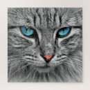 Pesquisar por olho de gato Olhar