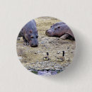 Pesquisar por hippo botons Animais selvagens