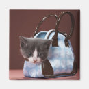 Pesquisar por bolso de imas Animal