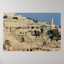 Pesquisar por oliveiras do pôsteres Israel