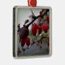 Pesquisar por galho ornamentos Vermelho
