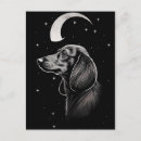 Pesquisar por arte do dachshund cartoes postais Salsicha