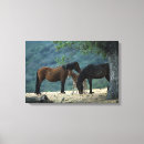 Pesquisar por éguas impressão de canvas Mustang