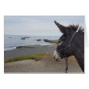 Pesquisar por cavalo tambor cartoes postais Rodeio