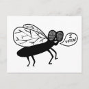 Pesquisar por mosca cartoes postais Engraçado