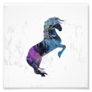 Pesquisar por colorido do cavalo pôsteres Fantasia