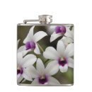 Pesquisar por orquídea cantis Botânico