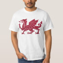 Pesquisar por goch do ddraig de y Bandeira