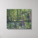 Pesquisar por undergrowth Floresta