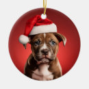 Pesquisar por american staffordshire terrier ornamentos Pit bull
