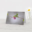 Pesquisar por sinal cartoes Flor