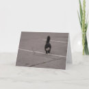 Pesquisar por gato com patas brancas cartoes For pets