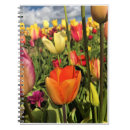 Pesquisar por tulipas coloridas cadernos de notas Natureza