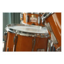 Pesquisar por instrumentos musicales pósteres pôsteres Tambores