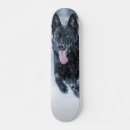 Pesquisar por germana skates Cães