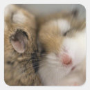 Pesquisar por bob adesivos Engraçado