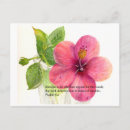 Pesquisar por flor do hibiscus cartoes postais Qualquer pessoa