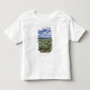 Pesquisar por artemísia camisetas Idaho
